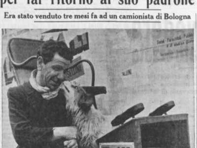 La storia del cagnolino Fiorino